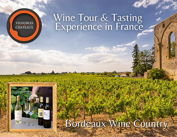 Wine Tasting